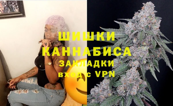 ГАЛЛЮЦИНОГЕННЫЕ ГРИБЫ Белоозёрский