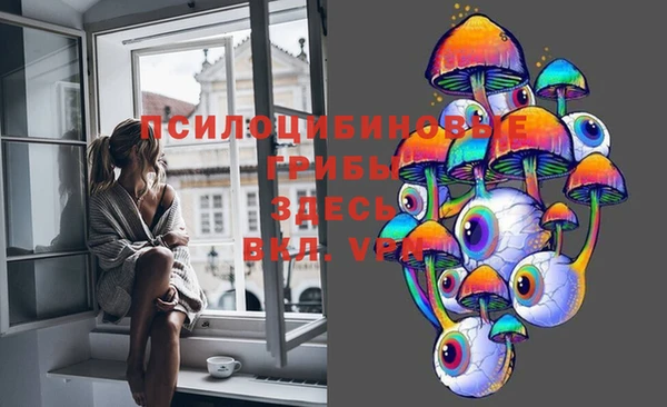 метадон Богданович