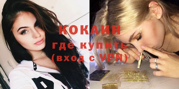 spice Богородицк