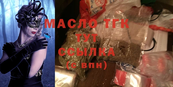 spice Богородицк
