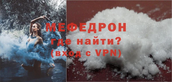 spice Богородицк