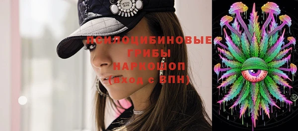 spice Богородицк