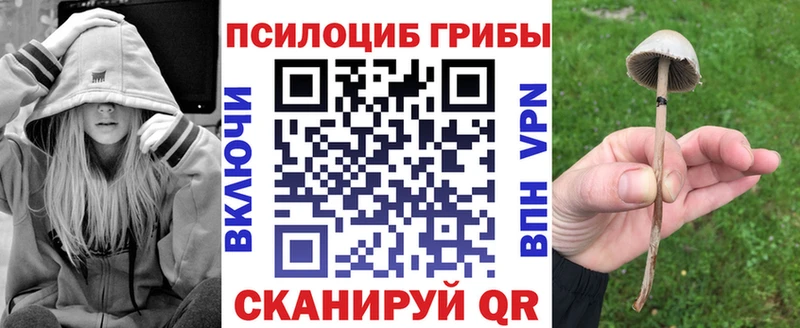 Галлюциногенные грибы Psilocybe  Демидов 